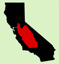 Central Valley Red